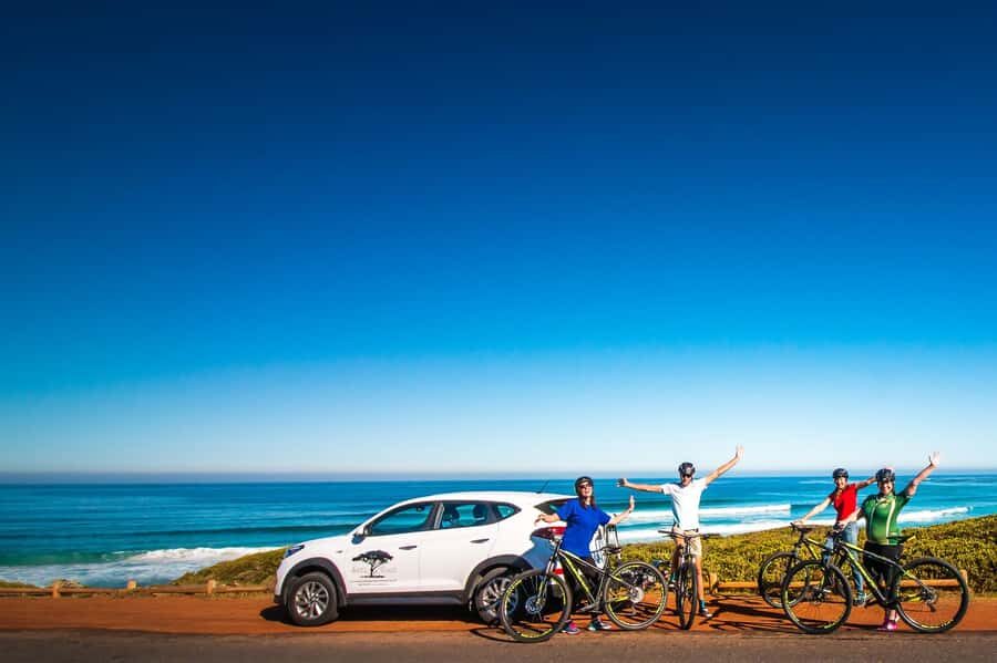 Cape Town: 9-hour Cape Point Private Guided Cycling Tour - Bike comfort, water, and other practical considerations
