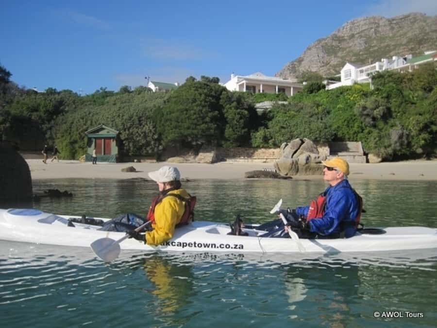 Cape Town: 9-hour Cape Point Private Guided Cycling Tour - Price and value: is $353 worth it?