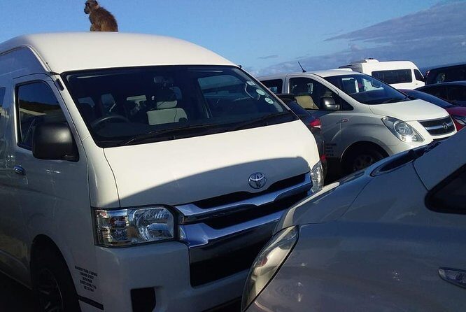 Cape Town Airport Transfers to hotels and Return Transfers, Wi-Fi - Inside the Ride: Air-Con Comfort, Bottled Water, and Wi‑Fi