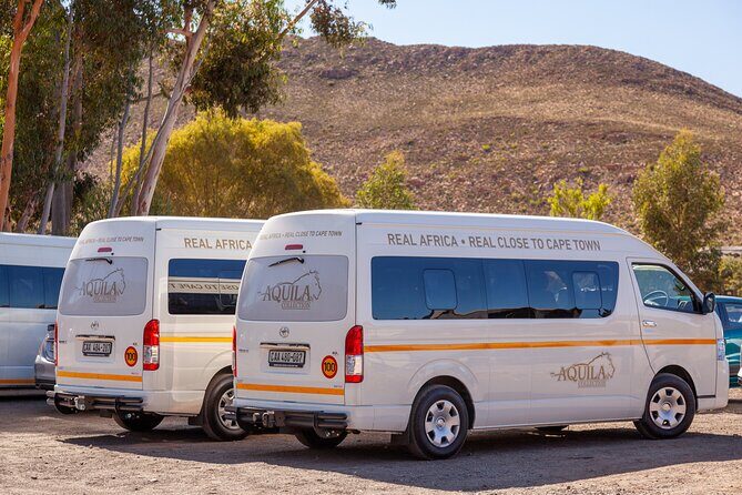 Cape Town Aquila Afternoon Safari with transport and lunch - From Your Hotel to Aquila: The Transport-First Experience