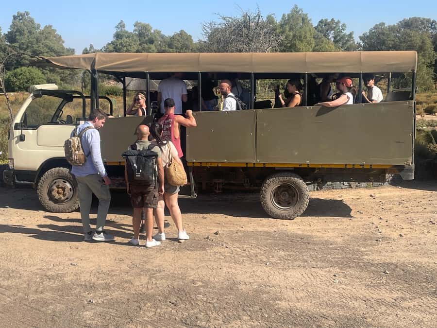 Cape Town: Aquila Game Reserve SAFARI +Lunch Buffet +Pickup - Key Things I’d Bet You’ll Care About