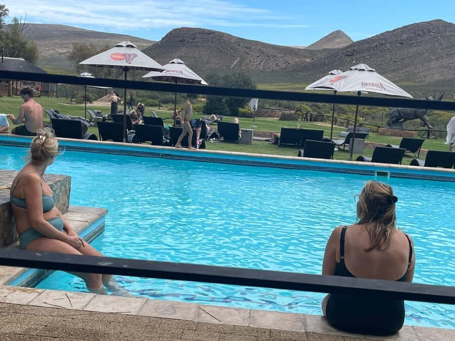 Cape Town: Aquila Game Reserve SAFARI +Lunch Buffet +Pickup - Timing, Group Size, and How to Avoid Common Day-Trip Friction