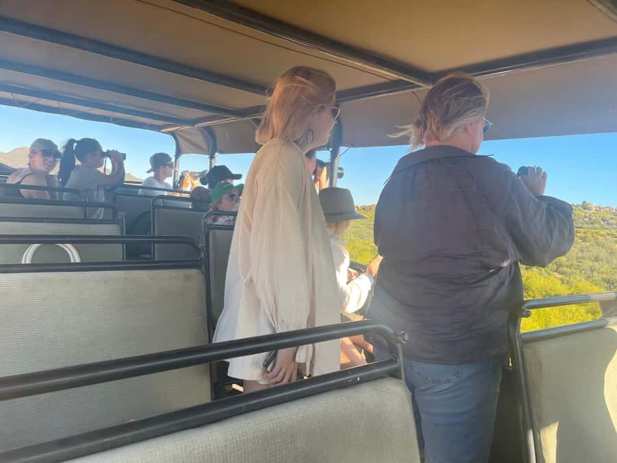 Cape Town: Aquila Game Reserve SAFARI +Lunch Buffet +Pickup - Big Five Chances—and the Smaller Wins That Make You Feel Lucky