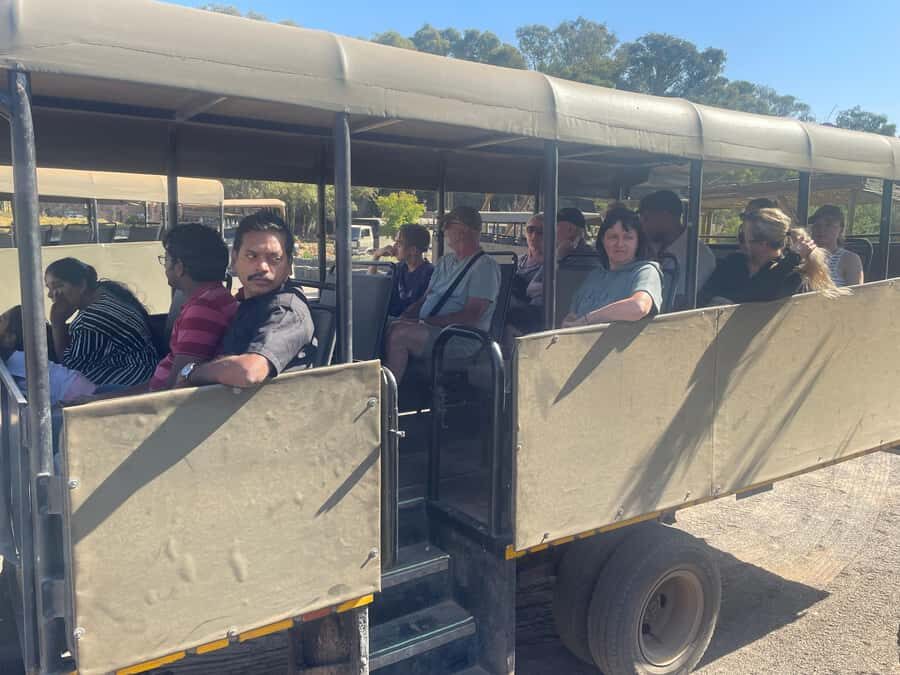 Cape Town: Aquila Game Reserve SAFARI +Lunch Buffet +Pickup - Clothing, Gear, and Photo Tips That Actually Help
