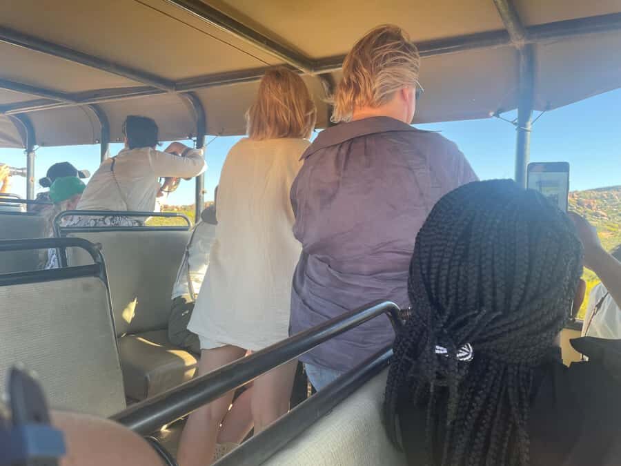 Cape Town: Aquila Game Reserve SAFARI +Lunch Buffet +Pickup - Welcome Drinks and Buffet Lunch: A Proper Start for a Long Safari Day