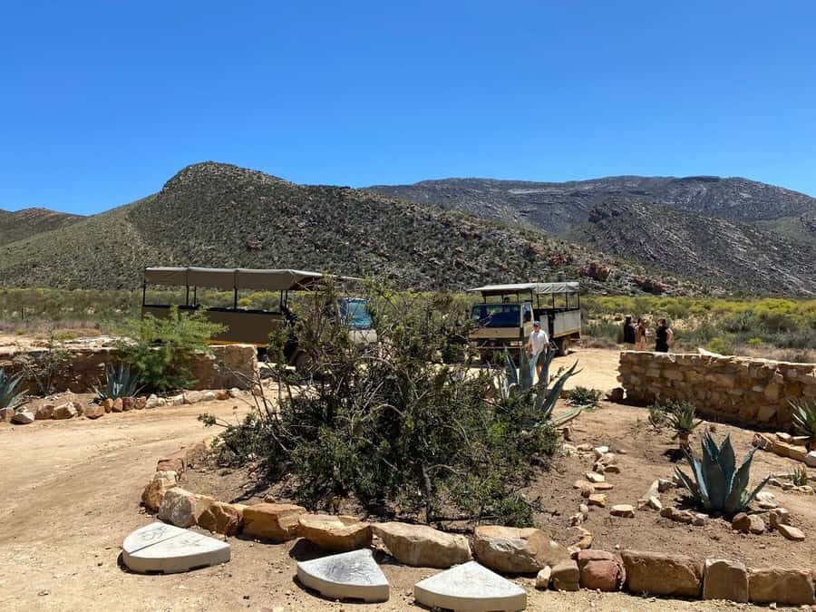 Cape Town: Aquila Game Reserve & V&A Waterfront Tour w/Lunch - Comfort and pacing: the 9-hour reality check