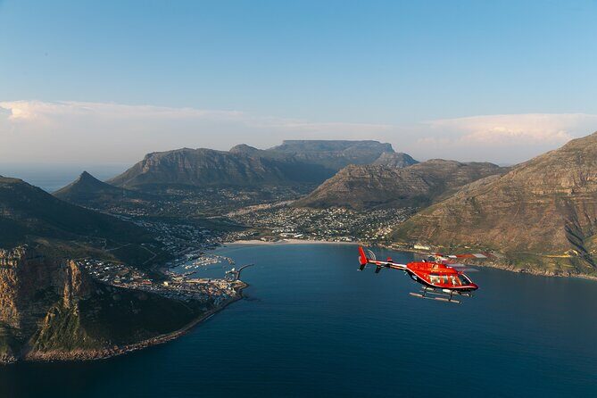 Cape Town Atlantic Helicopter Private Tour including Penguins Cape Point & Lunch - Boulders Beach Penguin Colony: your time with African penguins