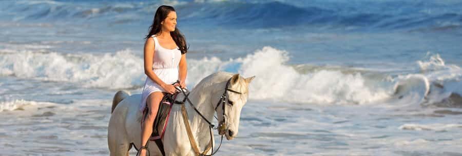 Cape Town: Beach Horse Ride with Hotel Pickup & Drop-off - Safety briefing and the gear setup that makes it easy