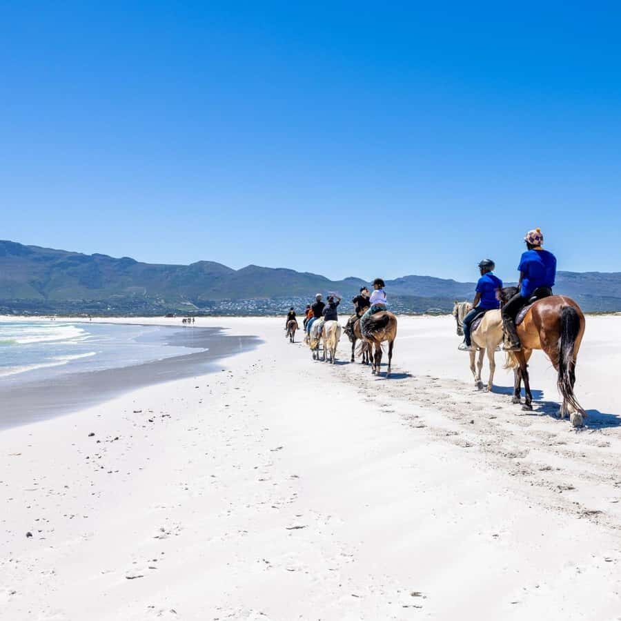 Cape Town: Beach Horse Ride with Hotel Pickup & Drop-off - The real deal on the vibe: relaxed, guided, and photo-friendly