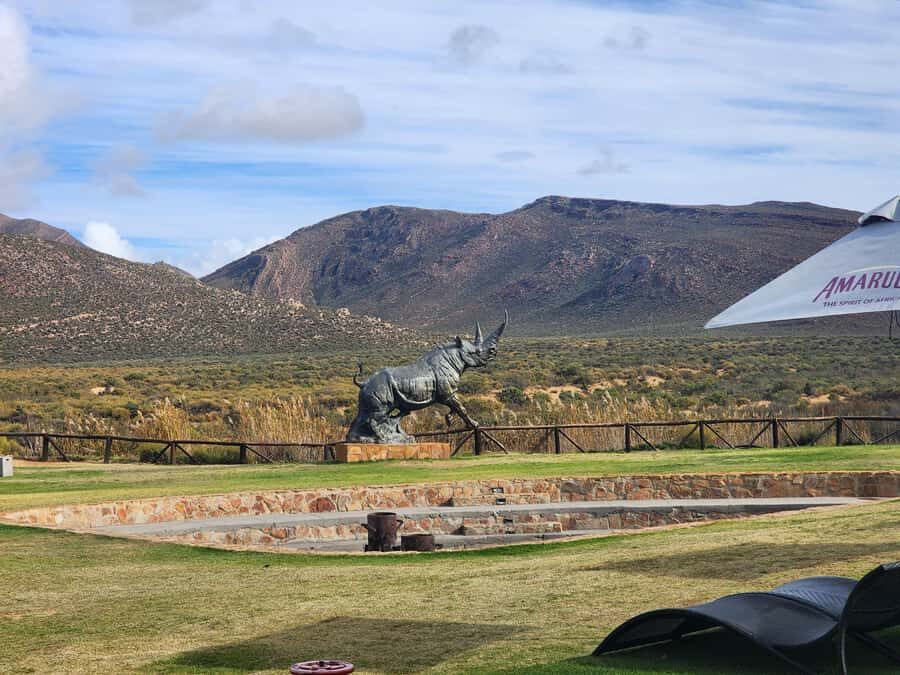 Cape Town big five safari with transport lunch Excl park fee - Rangers and conservation talk: the part that makes it more than photos