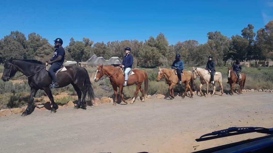 Cape Town big five safari with transport lunch Excl park fee - Who this safari fits best