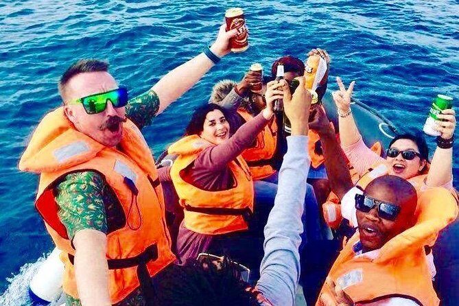 Cape Town Boat Trip - Marine Life Chances: Dolphins, Seals, Penguins, and Whale Season Notes