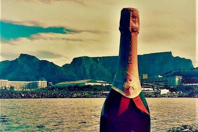 Cape Town Boat Trip - Price and Value: What You Really Get for $31.33
