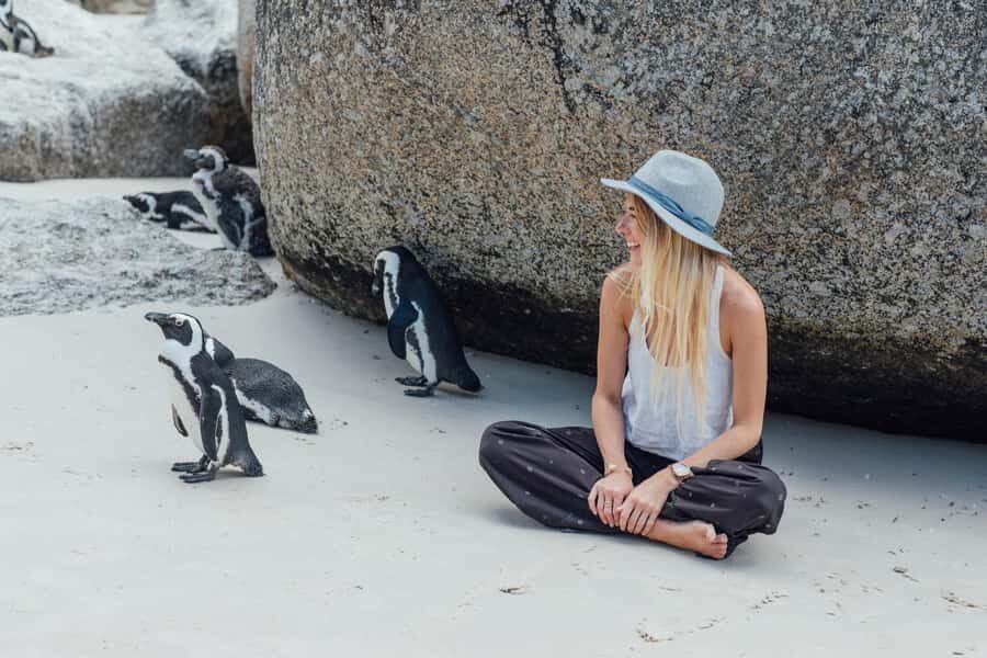 Cape Town: Boulders Penguin Colony Prebooked Entry Ticket - Key Things I’d Notice Here