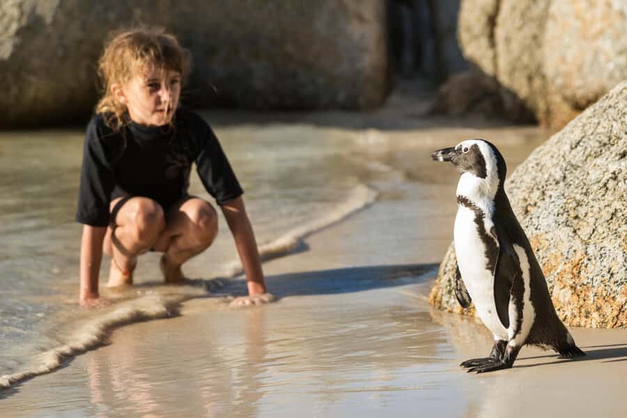 Cape Town: Boulders Penguin Colony Prebooked Entry Ticket - Getting In: The Parking Lot, Small Gate, and Main Entrance
