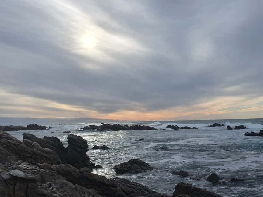 Cape Town: Cape Aghullas Van Tour with Hotel Pickup - From your hotel lobby to the southern tip of Africa