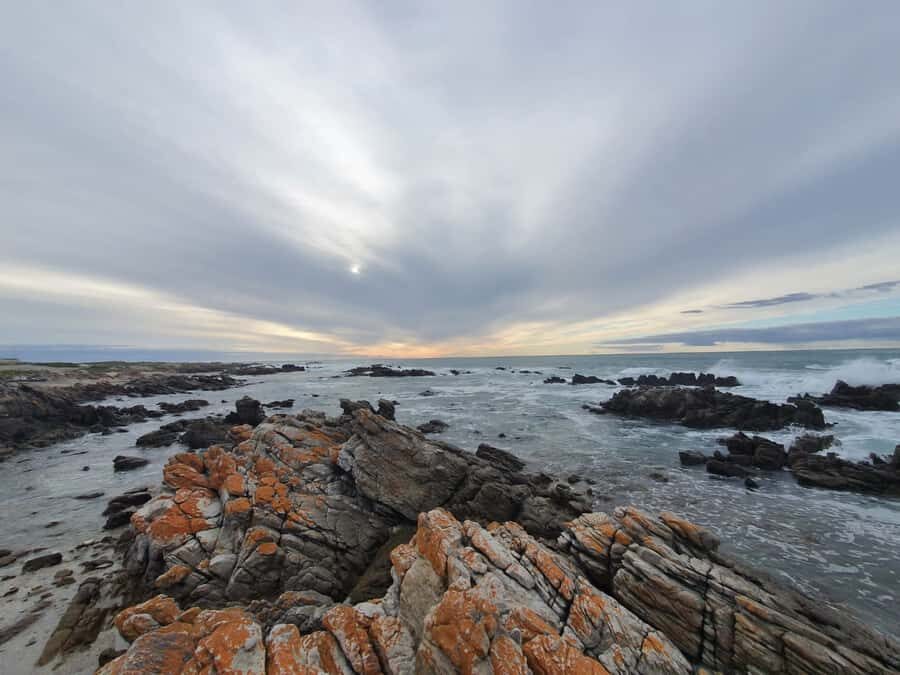 Cape Town: Cape Aghullas Van Tour with Hotel Pickup - Hermanus: long enough to actually enjoy the seaside town