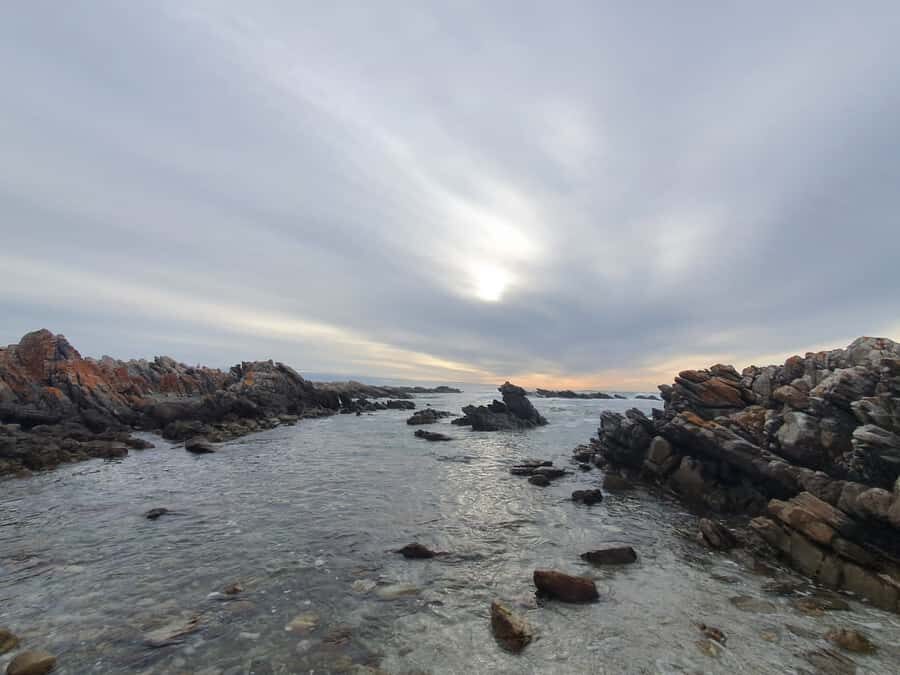 Cape Town: Cape Aghullas Van Tour with Hotel Pickup - Shipwrecks on the rocks: dramatic coastline photography time