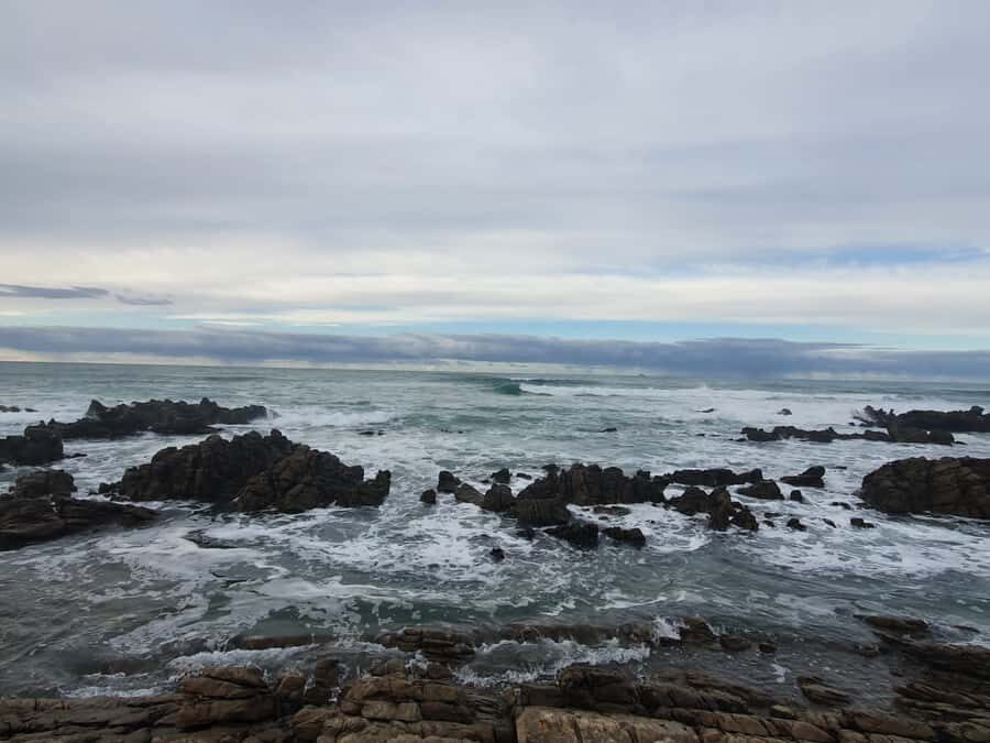 Cape Town: Cape Aghullas Van Tour with Hotel Pickup - The guide experience: where small-group tours can shine