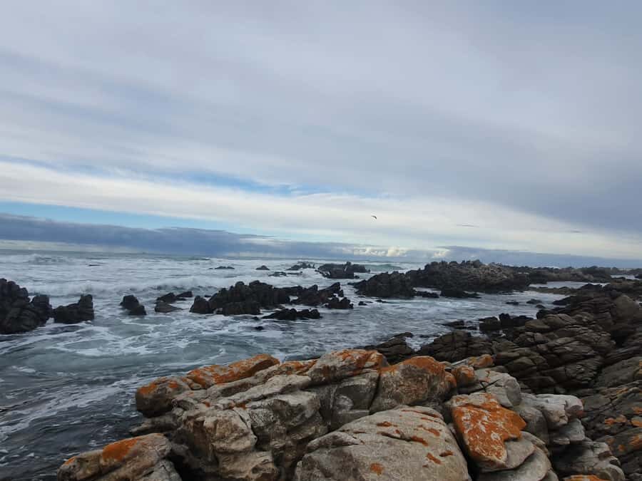 Cape Town: Cape Aghullas Van Tour with Hotel Pickup - What to bring (so you don’t waste time fiddling)