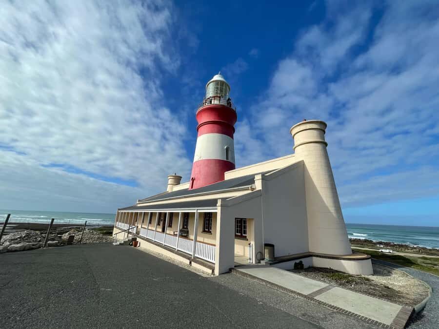 Cape Town: Cape Agulhas and Stony Point Penguin Tour - Stony Point Penguin Colony in Betty’s Bay: up close, with time to breathe