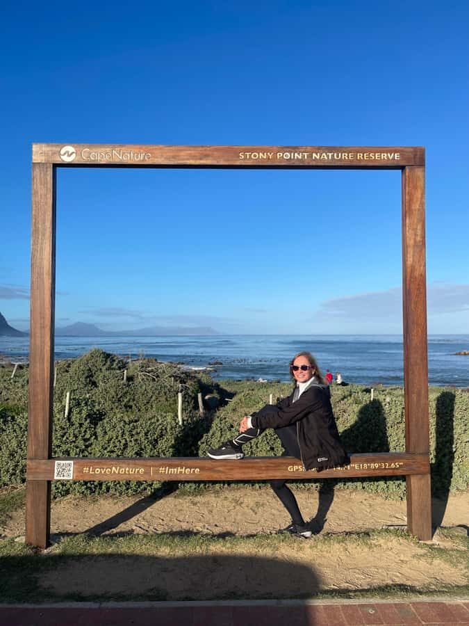 Cape Town: Cape Agulhas and Stony Point Penguin Tour - Hermanus for whale watching chances, plus lunch time on the coast
