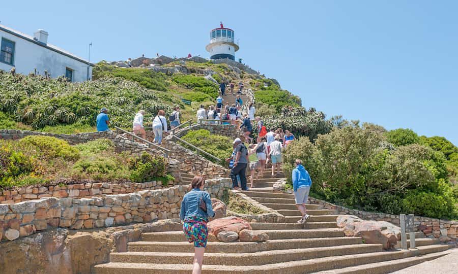 Cape Town: CAPE OF GOOD HOPE AND PENGUINS PRIVATE FULL DAY. - Hout Bay and Chapman’s Peak: the drive you’ll talk about later