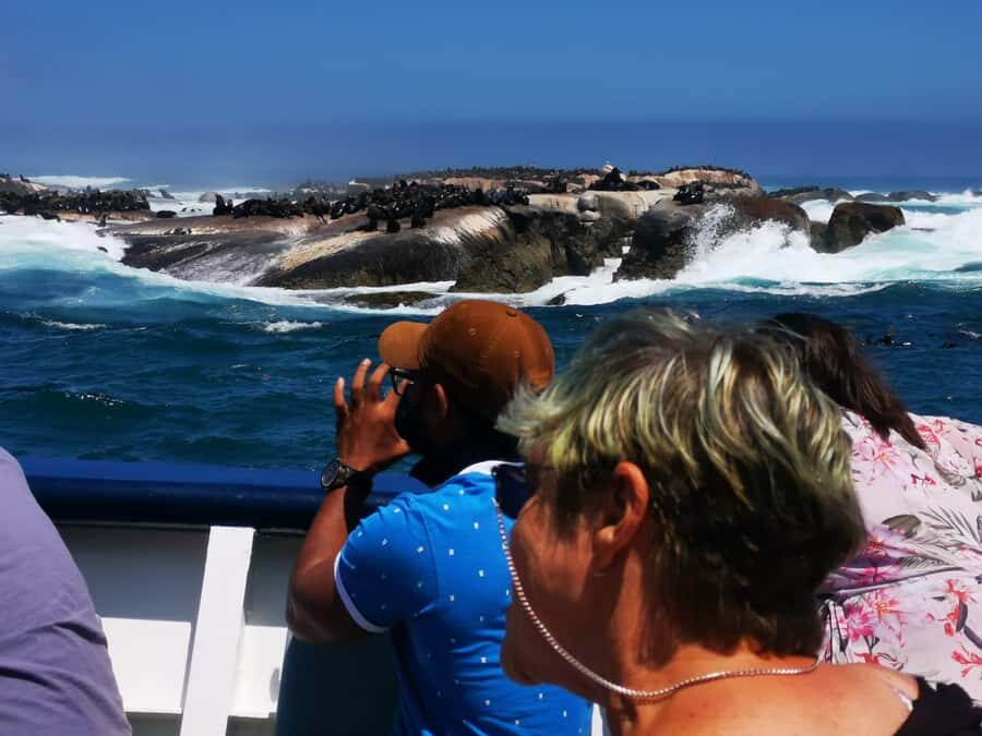 Cape Town: CAPE OF GOOD HOPE AND PENGUINS PRIVATE FULL DAY. - Simon’s Town: naval heritage and a calmer pace