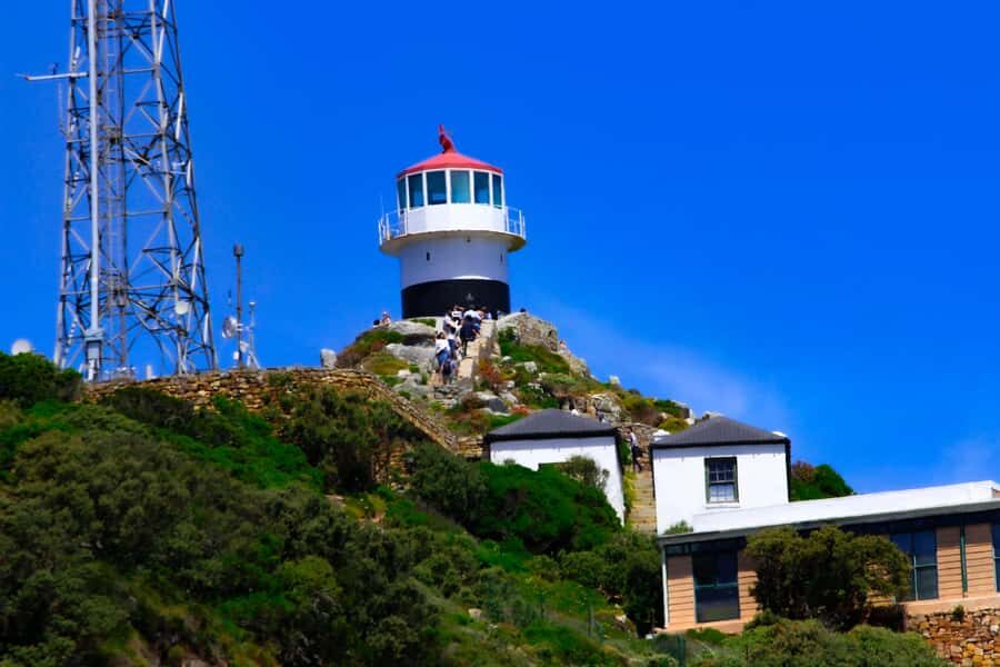Cape Town: Cape of Good Hope & Boulders Beach Group Tour - Hout Bay seal option: worth it if you want one more wildlife hit