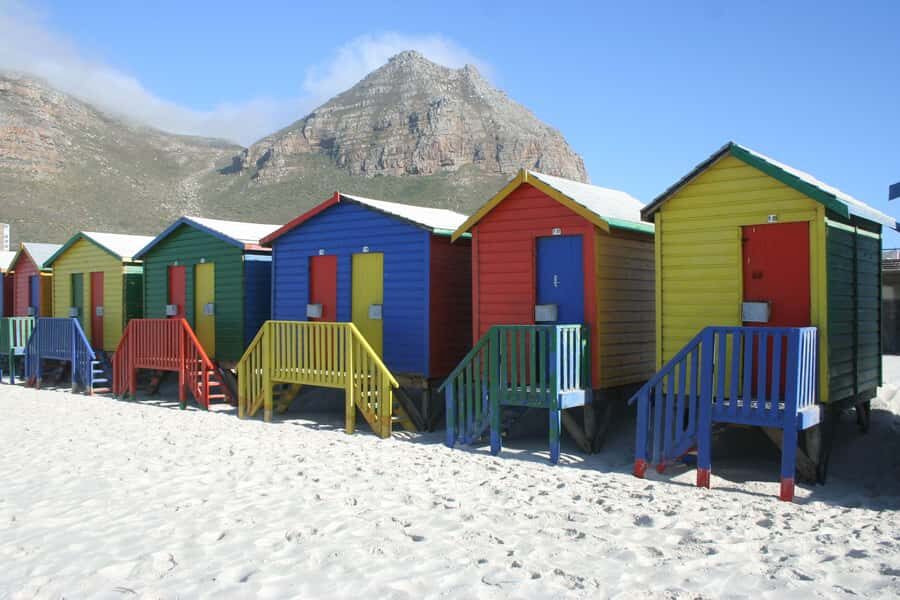 Cape Town: Cape of Good Hope & Boulders Beach Group Tour - Boulders Beach Penguin Colony: the main event, and then some free time