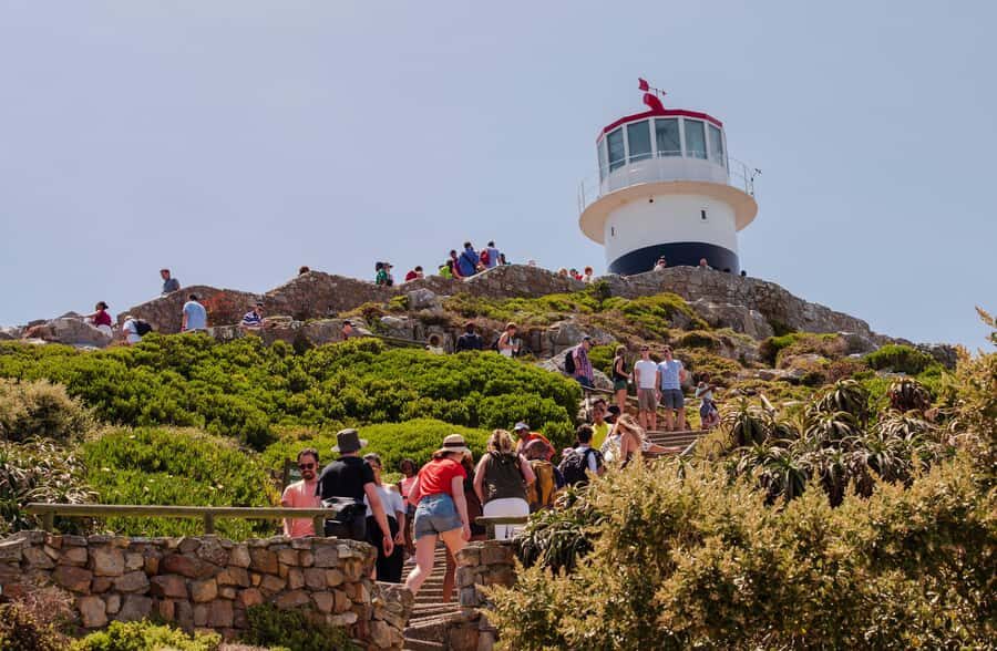 Cape Town: Cape of Good Hope & Cape Point Prebooked Ticket - Cape of Good Hope Nature Reserve: beacons, signs, and wildlife moments