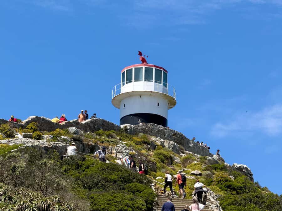 Cape Town: Cape of Good Hope & Penguin Colony Entry Ticket - Should You Book This Cape Town Ticket?