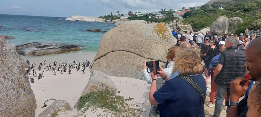 Cape Town: Cape of Good Hope, Penguins and Sightseeing Tour - Why this Cape Peninsula loop works in one day