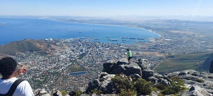 Cape Town: Cape of Good Hope, Penguins and Sightseeing Tour - Simons Town and Just Nuisance: where history stops being a textbook