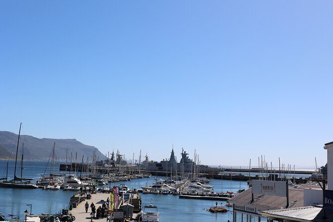Cape Town: Cape of Good Hope Tour, Penguin Beach & Table Mountain - A full-day Cape Town highlights route, without the planning headache