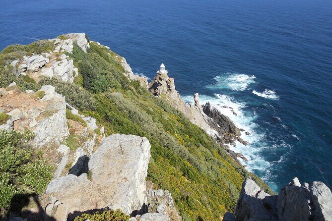 Cape Town: Cape Peninsula Half Day Private Tour - Guides Matter: Why Lynette and Sally Made the Difference