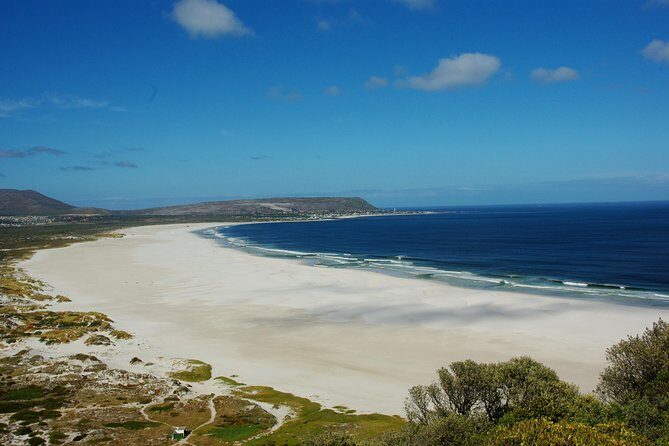 Cape Town: Cape Peninsula Half Day Private Tour - Price and Value: What $132.19 Buys You