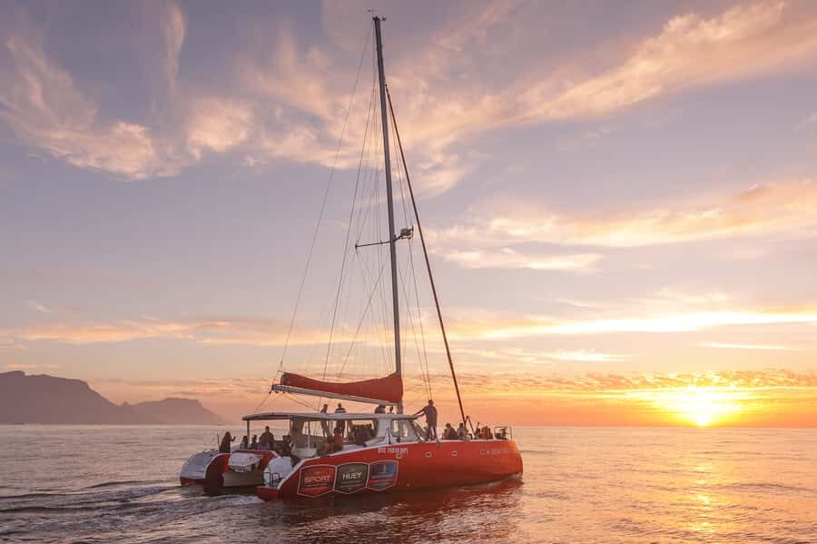 Cape Town: Catamaran Champagne Sunset Cruise - Music, crew energy, and the whale-spotting bonus
