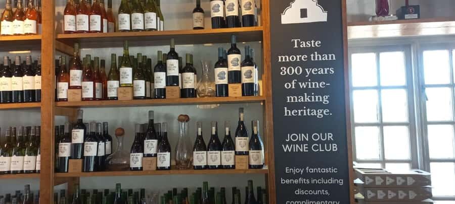 Cape Town: Cheetah Outreach and Winelands Day Tour - From Cape Town City Centre to Somerset West: How the Day Starts