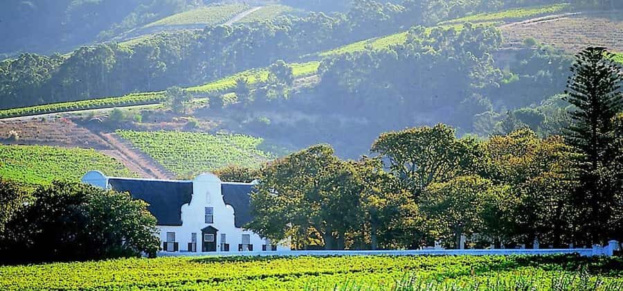 Cape Town: Cheetah Outreach and Winelands Day Tour - Who This Tour Fits Best (and Who Should Skip It)
