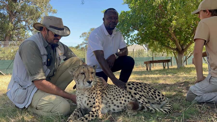 Cape Town: Cheetah Outreach, Giraffe Encounter & Wine Tour - Key points to know before you go
