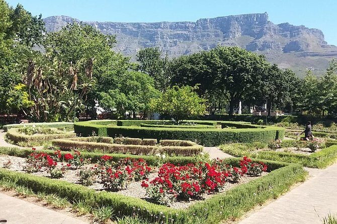Cape Town City Tour Camps Bay Beach Plus Table Mountain Ticket - Clifton Beaches (Numbered 1 to 4): How This Coast Works