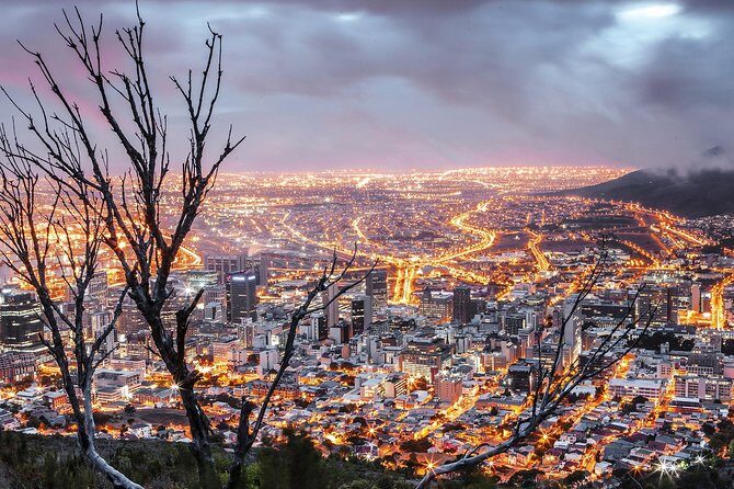 Cape Town City Tour Half-Day - Stop 2: Iziko South African Museum and Planetarium (Quick but Focused)