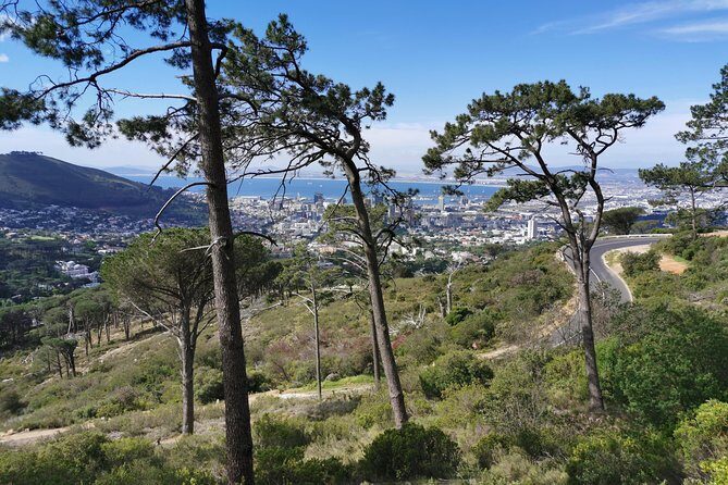 Cape Town City Tour including Lion's head with Wi-Fi on board. - V&A Waterfront: Convenient City Energy in One Stop