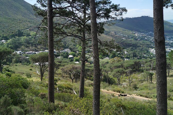 Cape Town City Tour including Lion's head with Wi-Fi on board. - Camps Bay: Coastal Views With Less Planning Stress