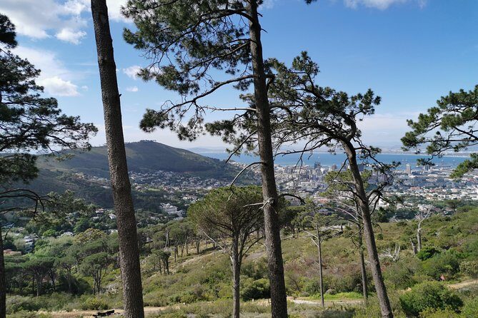 Cape Town City Tour including Lion's head with Wi-Fi on board. - Guides and the Elifas Factor: When the Tour Feels Tailored