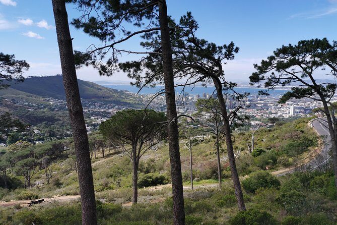 Cape Town City Tour including Lion's head with Wi-Fi on board. - Price and Value: Is $71.20 a Good Deal for 4 Hours?