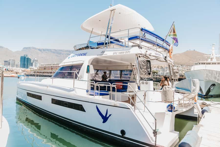 Cape Town: Coastal Cruise & 14-piece Sushi Meal - The 14-Piece Sushi Meal: Included, Fixed, and Surprisingly Practical