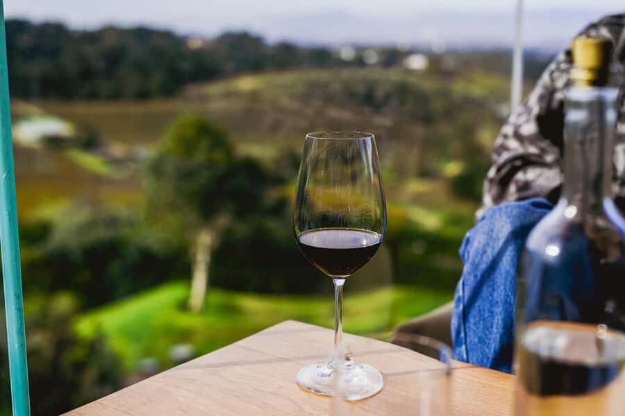Cape Town: Constantia Half-Day Wine Tour & Tastings - Pickup and the ride into Constantia Wine Valley