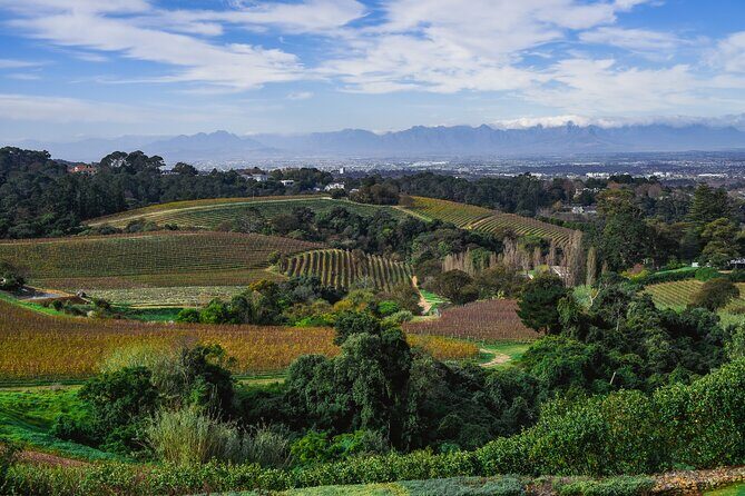 Cape Town: Constantia Wine Route Tour - La Cotte lunch break: eat well, stay flexible, keep your budget in check